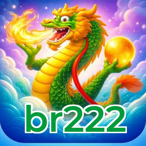 br222 Logo